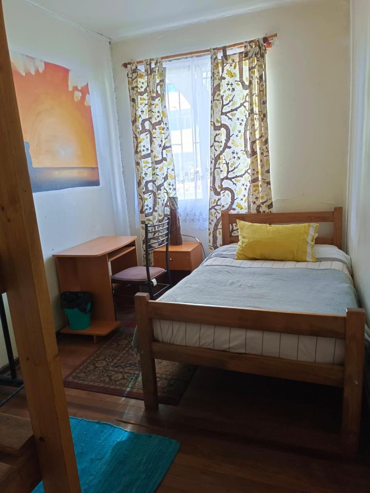 Tipico Hostel Chile Chillán Extérieur photo